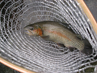 f0065341_18125064.jpg