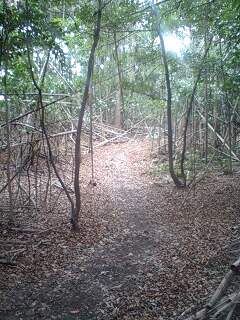 c0059543_1712351.jpg
