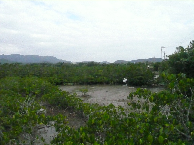 b0170644_0181617.jpg