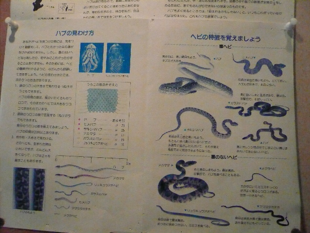 b0170644_024304.jpg