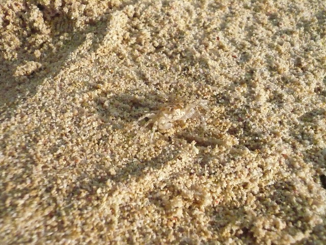 b0170644_031492.jpg