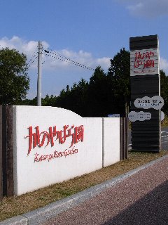 c0171349_1633526.jpg