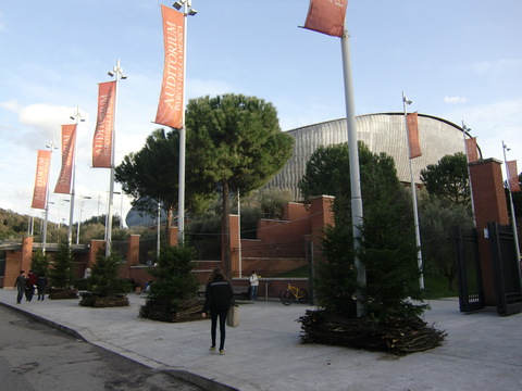c0206352_234282.jpg