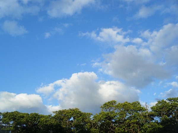 e0134752_149926.jpg