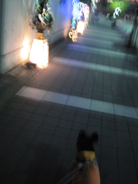 e0126054_12562593.jpg