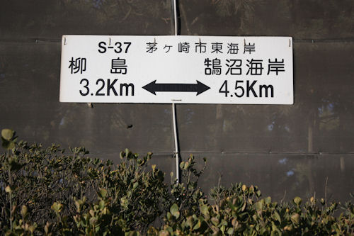 a0154957_915391.jpg