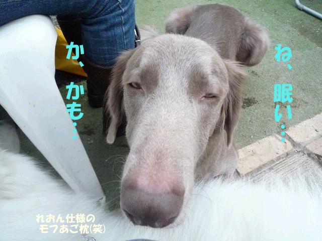 e0176159_9511079.jpg