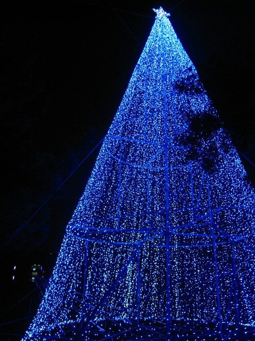 e0206464_13441835.jpg