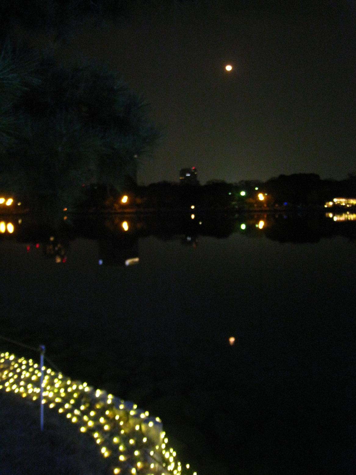 e0206464_1414090.jpg