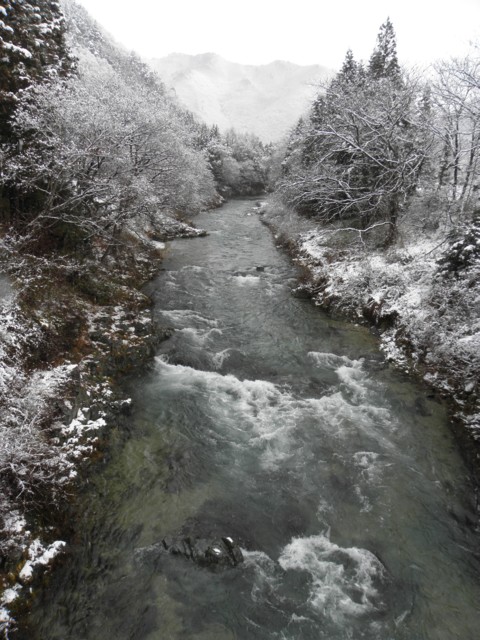 d0134473_17462871.jpg