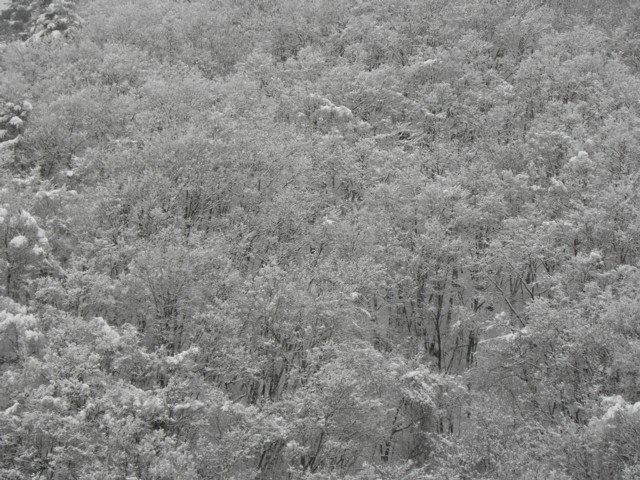 d0134473_1750243.jpg