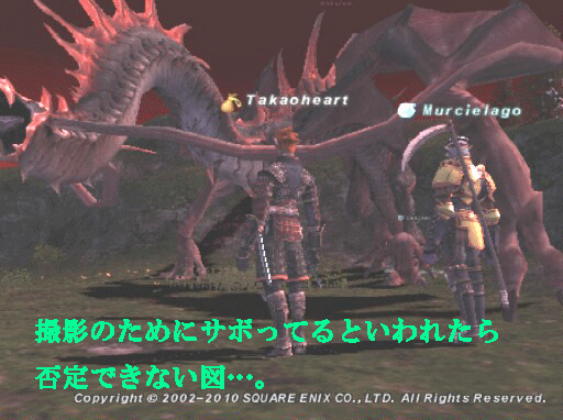 c0037384_1254790.gif