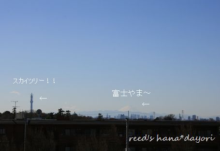b0163486_0361446.jpg