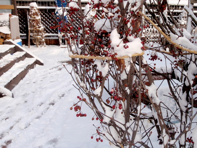 a0007388_12513257.jpg