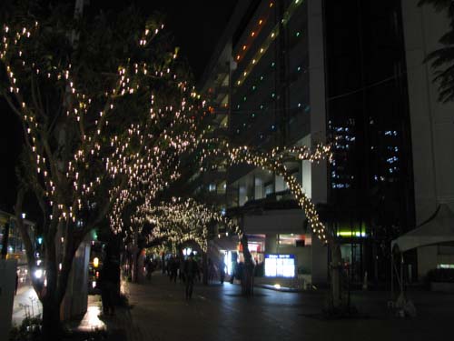 c0064389_9484256.jpg