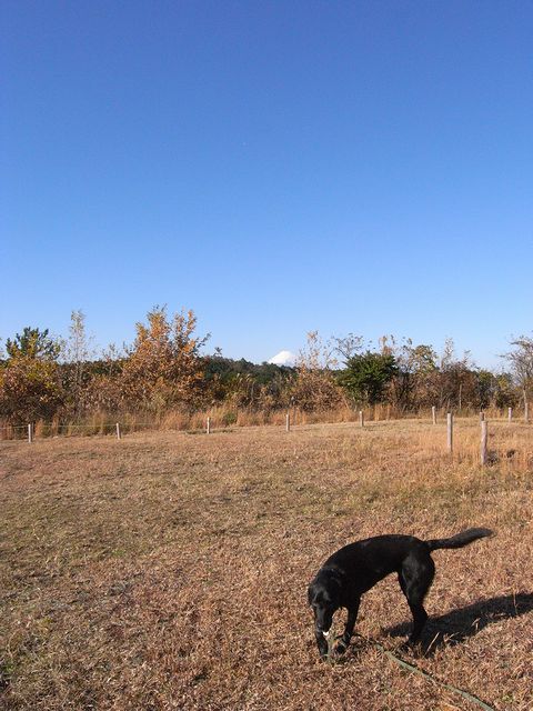 a0093592_0533910.jpg