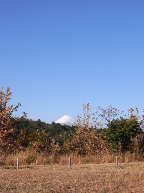 a0093592_0592265.jpg