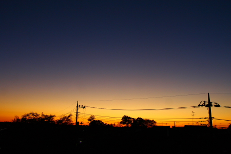 d0133693_1735234.jpg