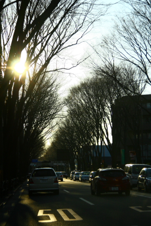 d0133693_17354485.jpg