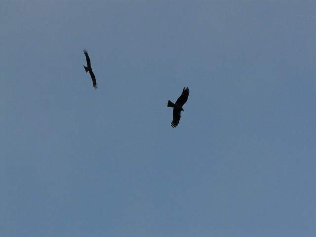 e0202393_21544833.jpg