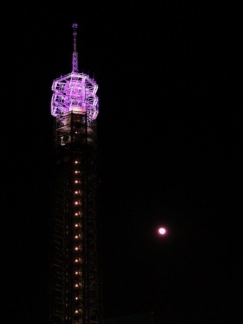 e0202393_333194.jpg