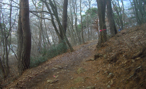 b0099994_1604945.jpg