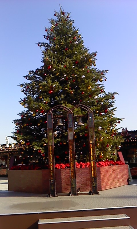 b0007895_12495531.jpg