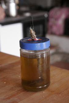 f0106597_23573581.jpg
