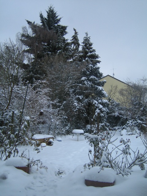 e0211204_21453414.jpg