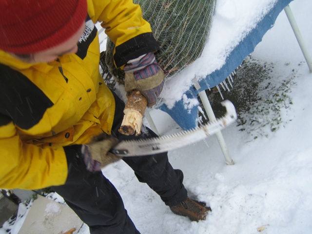 e0211204_21513751.jpg