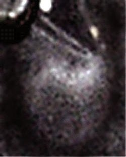 e0103408_339487.gif
