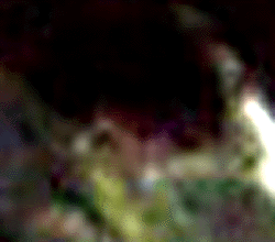 e0103408_3405774.gif