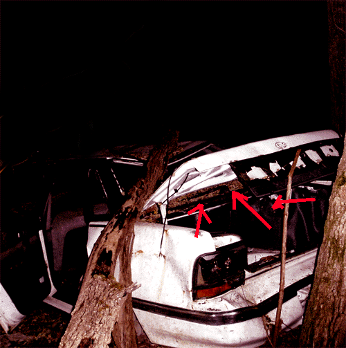 e0103408_3412631.gif