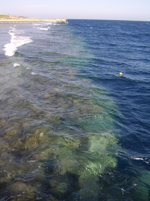 d0115609_2335177.jpg