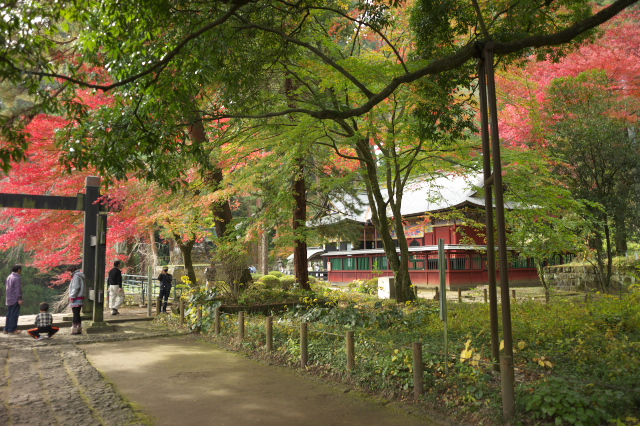 d0143011_20331852.jpg