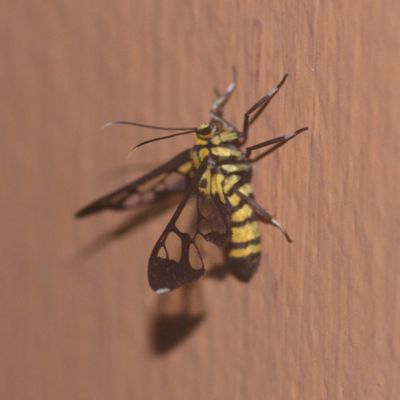 e0142611_42281.jpg