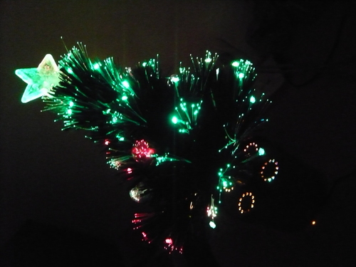 e0214513_104763.jpg
