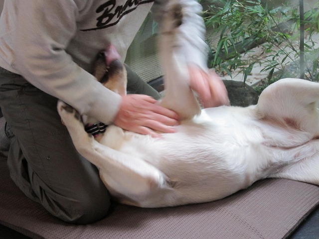e0192217_11305711.jpg
