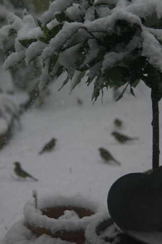 e0114020_103634.jpg