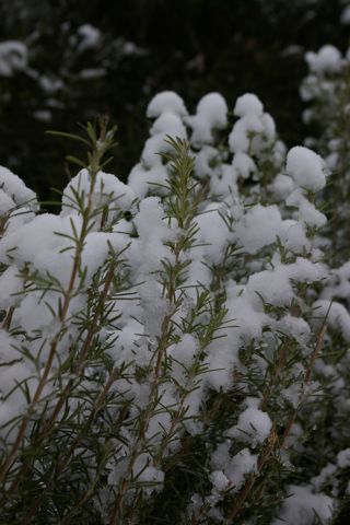 e0114020_2152556.jpg