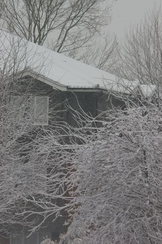 e0114020_283866.jpg