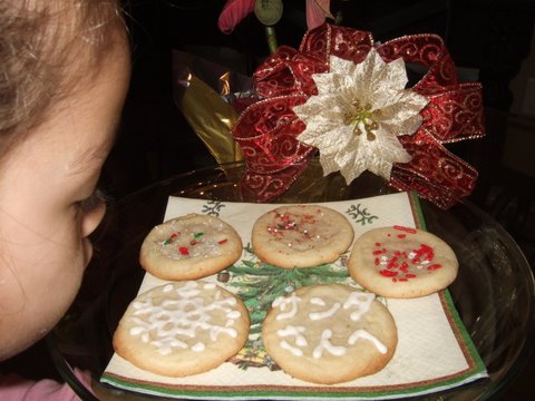 c0151122_1317020.jpg
