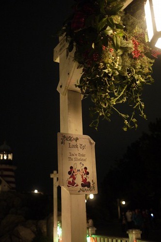 d0023323_13274214.jpg