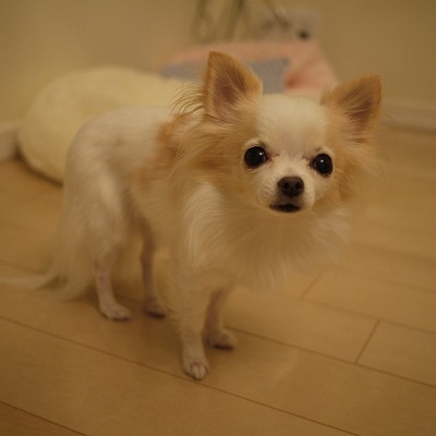d0023323_14344421.jpg