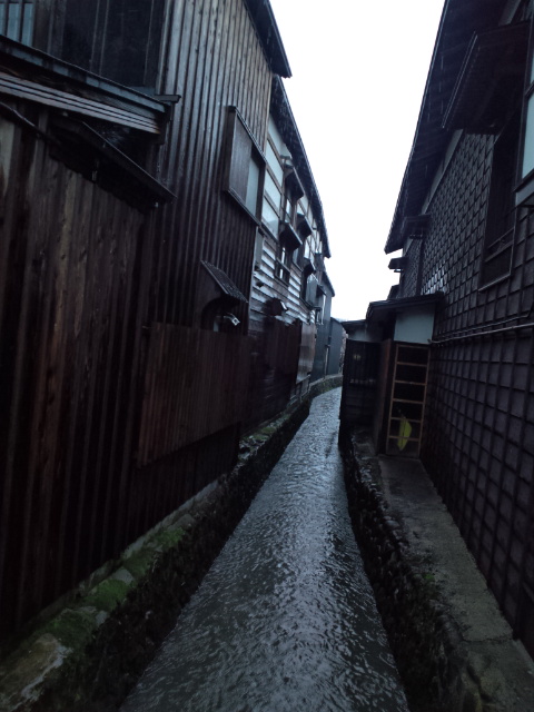 e0016828_91828.jpg