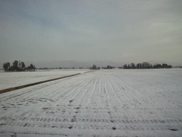 e0016828_9512596.jpg