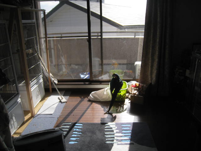 e0107730_22181344.jpg