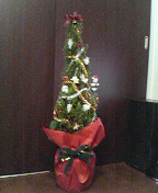 c0141431_025485.jpg