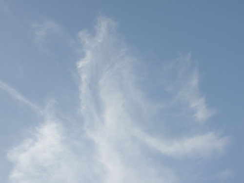 a0174932_0571264.jpg