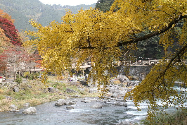 e0064133_189410.jpg